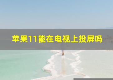 苹果11能在电视上投屏吗