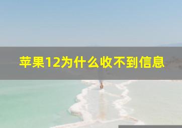 苹果12为什么收不到信息