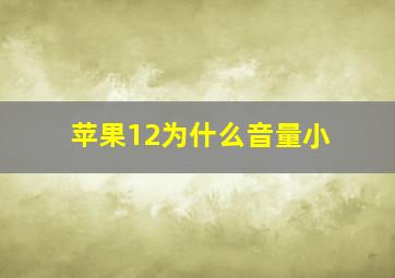 苹果12为什么音量小