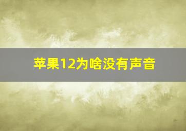 苹果12为啥没有声音