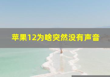 苹果12为啥突然没有声音