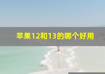 苹果12和13的哪个好用