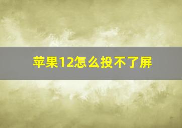 苹果12怎么投不了屏