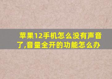 苹果12手机怎么没有声音了,音量全开的功能怎么办