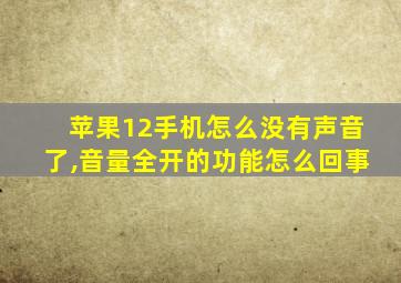 苹果12手机怎么没有声音了,音量全开的功能怎么回事