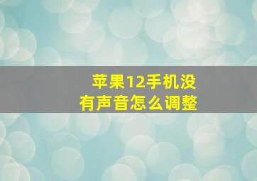 苹果12手机没有声音怎么调整