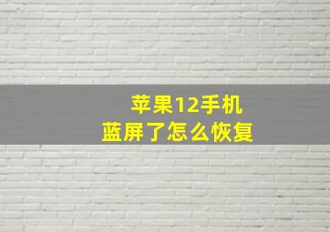 苹果12手机蓝屏了怎么恢复