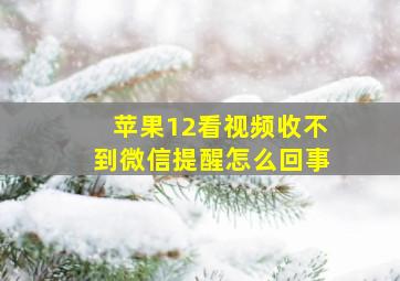 苹果12看视频收不到微信提醒怎么回事