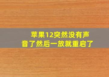 苹果12突然没有声音了然后一放就重启了