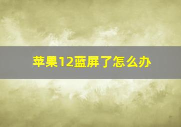 苹果12蓝屏了怎么办