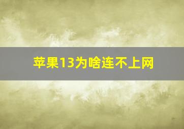 苹果13为啥连不上网