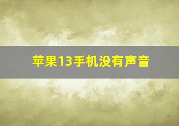 苹果13手机没有声音