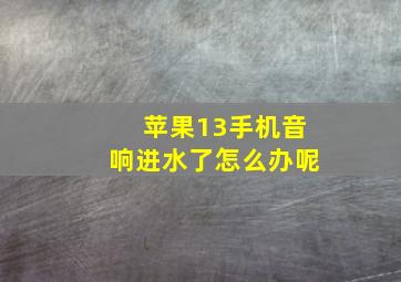 苹果13手机音响进水了怎么办呢