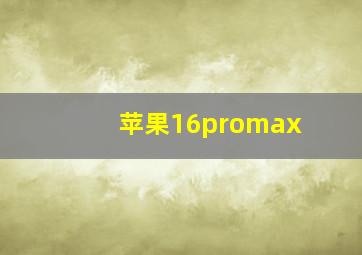 苹果16promax