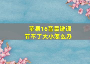 苹果16音量键调节不了大小怎么办