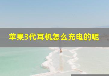 苹果3代耳机怎么充电的呢