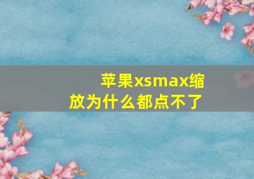 苹果xsmax缩放为什么都点不了