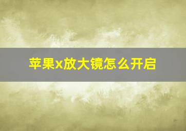 苹果x放大镜怎么开启