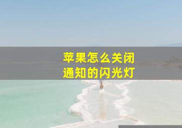 苹果怎么关闭通知的闪光灯