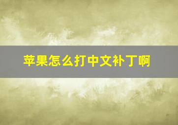 苹果怎么打中文补丁啊