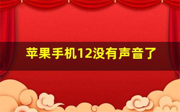 苹果手机12没有声音了