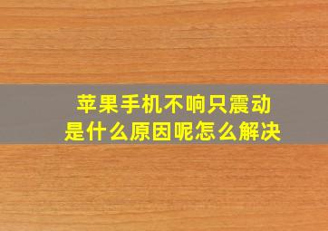 苹果手机不响只震动是什么原因呢怎么解决