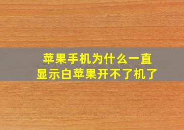 苹果手机为什么一直显示白苹果开不了机了