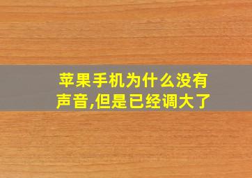 苹果手机为什么没有声音,但是已经调大了