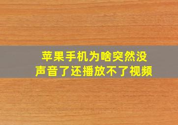 苹果手机为啥突然没声音了还播放不了视频