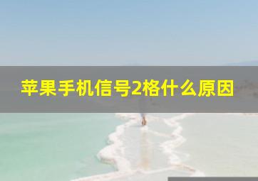 苹果手机信号2格什么原因