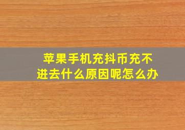 苹果手机充抖币充不进去什么原因呢怎么办