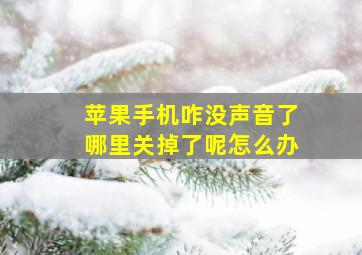 苹果手机咋没声音了哪里关掉了呢怎么办