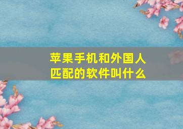 苹果手机和外国人匹配的软件叫什么