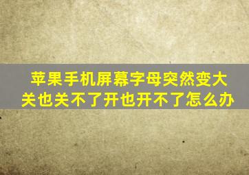 苹果手机屏幕字母突然变大关也关不了开也开不了怎么办