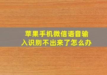 苹果手机微信语音输入识别不出来了怎么办