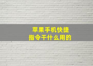 苹果手机快捷指令干什么用的