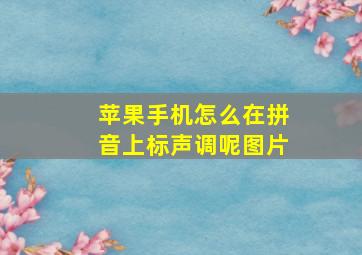 苹果手机怎么在拼音上标声调呢图片