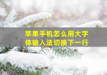 苹果手机怎么用大字体输入法切换下一行