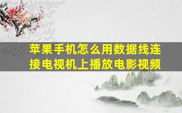 苹果手机怎么用数据线连接电视机上播放电影视频