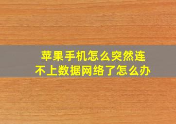 苹果手机怎么突然连不上数据网络了怎么办