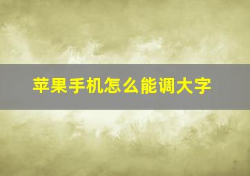 苹果手机怎么能调大字