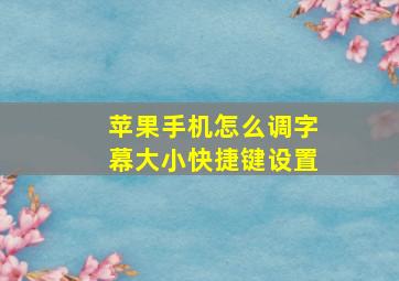 苹果手机怎么调字幕大小快捷键设置