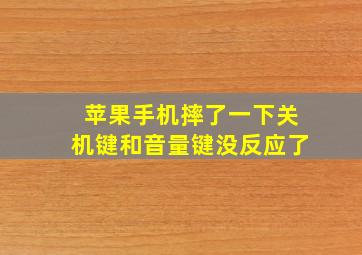 苹果手机摔了一下关机键和音量键没反应了