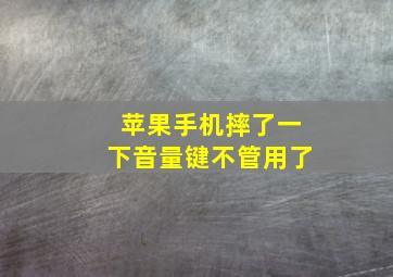 苹果手机摔了一下音量键不管用了