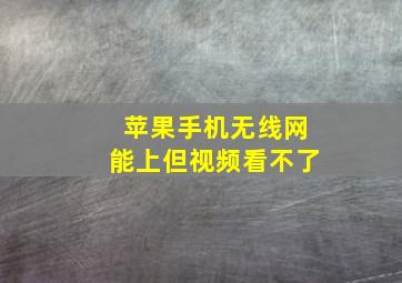 苹果手机无线网能上但视频看不了