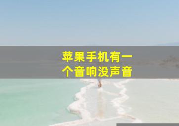 苹果手机有一个音响没声音