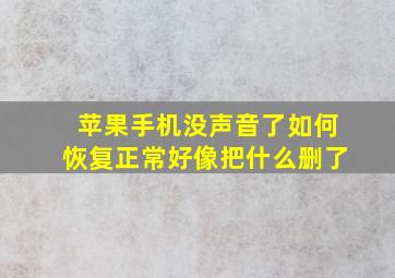 苹果手机没声音了如何恢复正常好像把什么删了