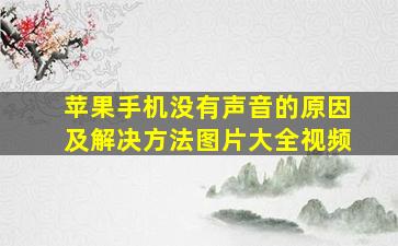 苹果手机没有声音的原因及解决方法图片大全视频