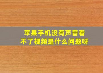 苹果手机没有声音看不了视频是什么问题呀