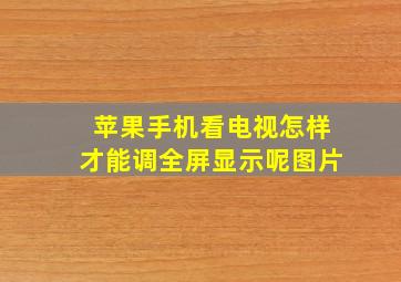 苹果手机看电视怎样才能调全屏显示呢图片